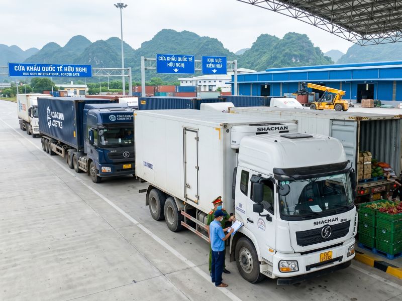 các loại thuế nhập khẩu